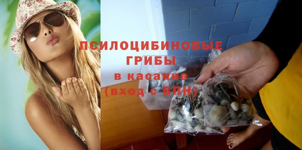 МДПВ Богородск