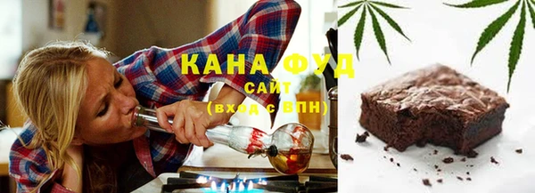 МДПВ Богородск