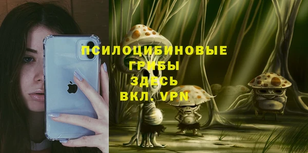 круглые Богородицк